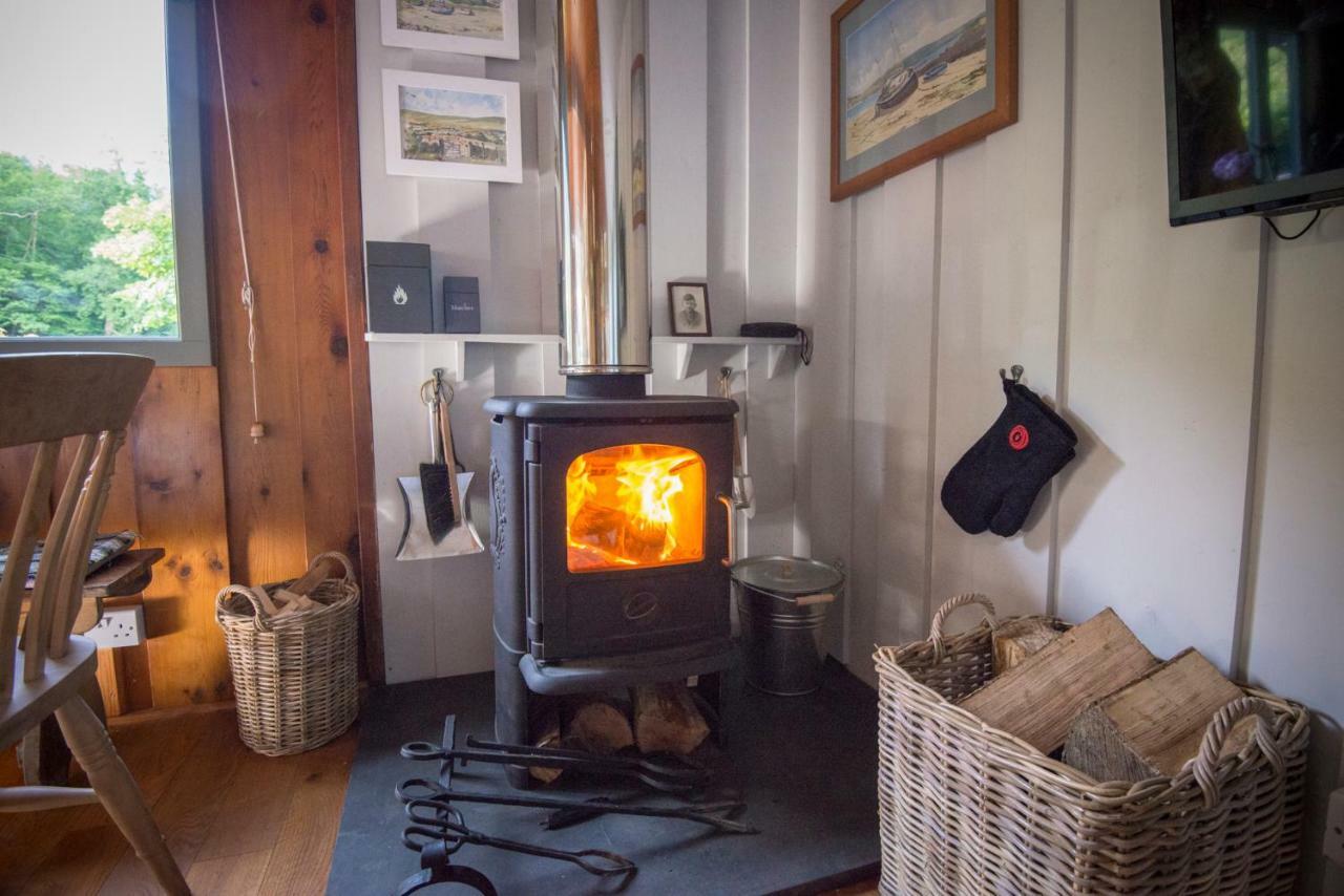 Little Kestrel Cabin Pennal Экстерьер фото